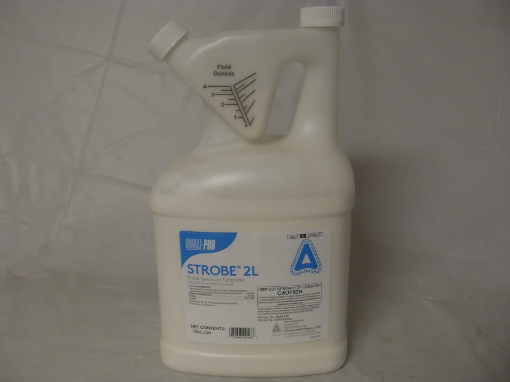 Strobe 2L Broad Spectrum Fungicide - Gallon Strobe 2L Broad Spectrum Fungicide - Gallon