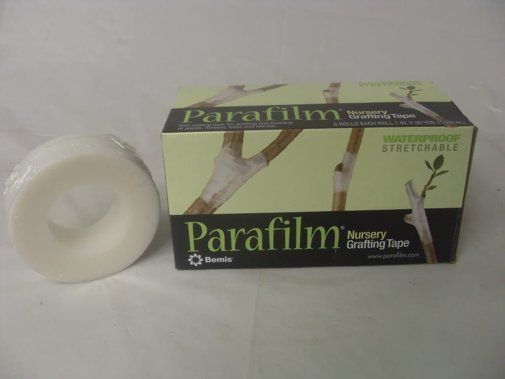 Parafilm Grafting Tape - 0.5" - 1" Wide Parafilm Grafting Tape - 0.5" - 1" Wide