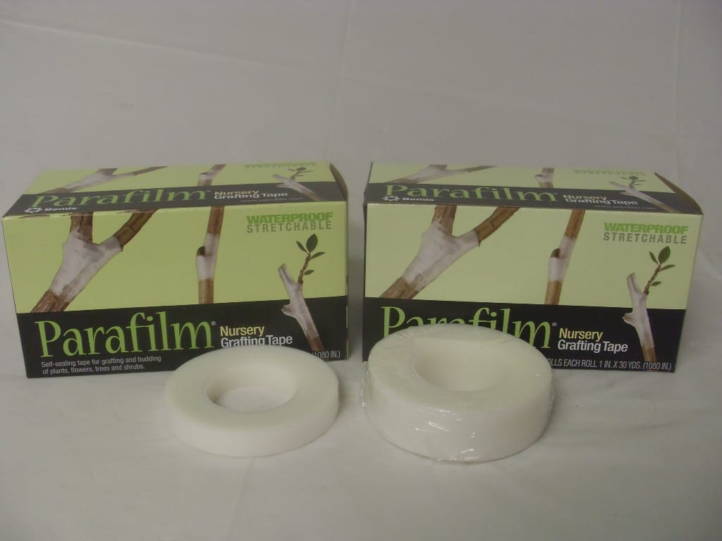 Parafilm Grafting Tape - 0.5" - 1" Wide