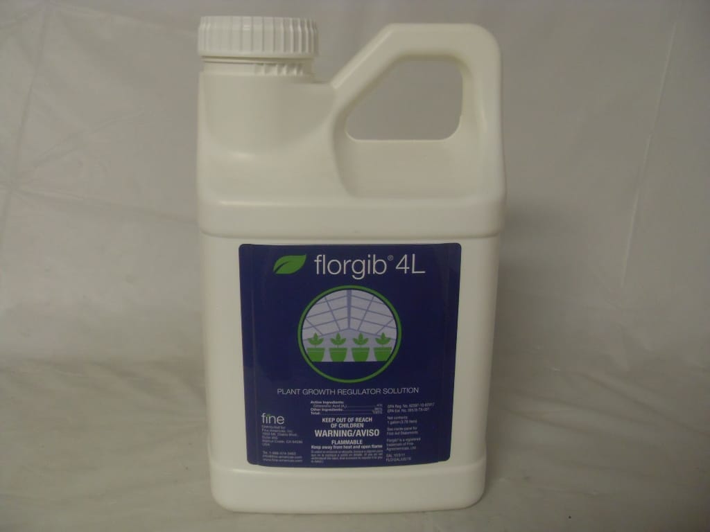 Florgib 4L Generic ProGibb T&O PGR - Qt - Gal Florgib 4L Generic ProGibb T&O PGR - Qt - Gal