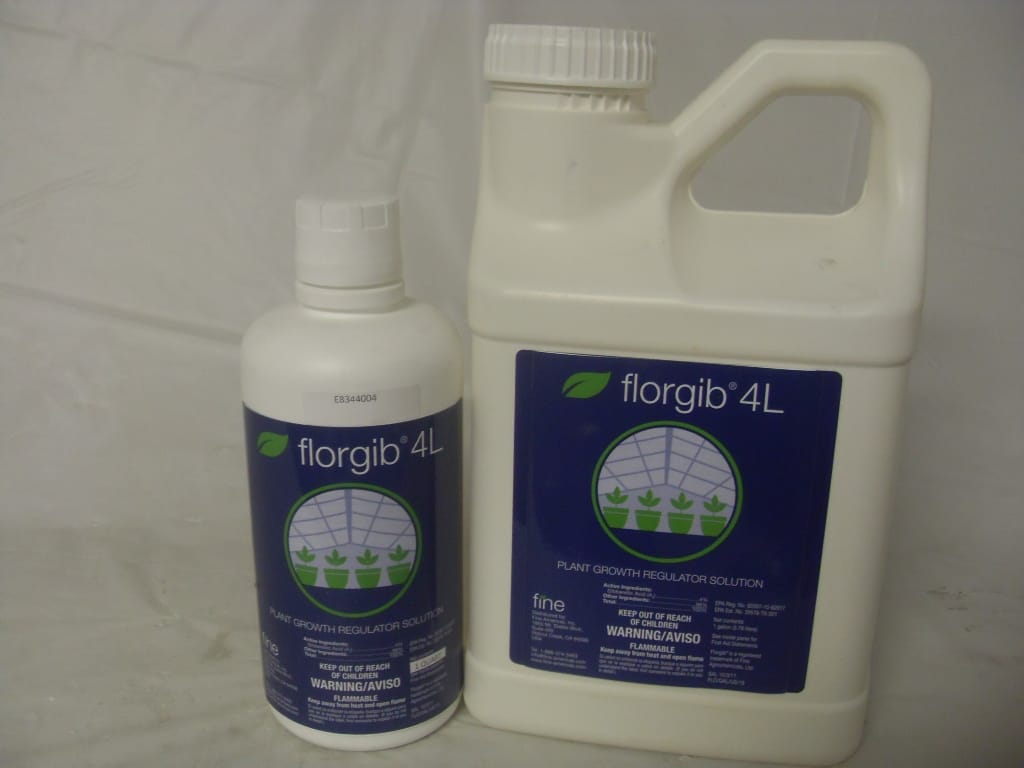Florgib 4L Generic ProGibb T&O PGR - Qt - Gal Florgib 4L Generic ProGibb T&O PGR - Qt - Gal