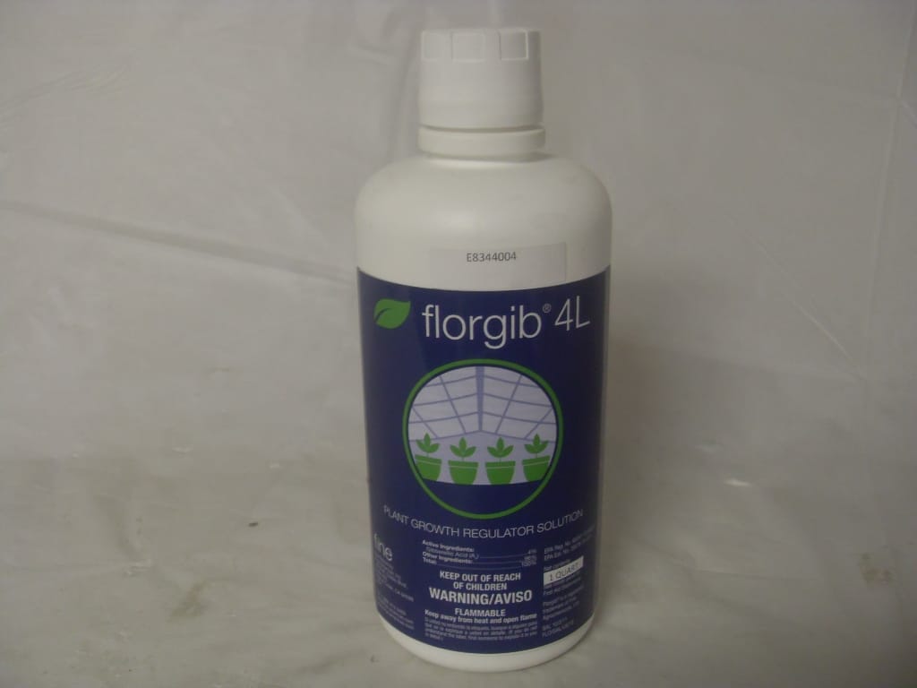 Florgib 4L Generic ProGibb T&O PGR - Qt - Gal Florgib 4L Generic ProGibb T&O PGR - Qt - Gal