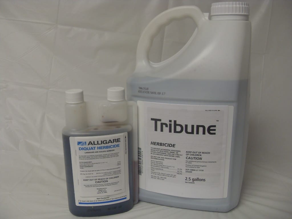 Diquat Turf Aquatic Herbicide Reward Tribune - Qt - 2.5 Gallon Diquat Turf Aquatic Herbicide Reward Tribune - Qt - 2.5 Gallon