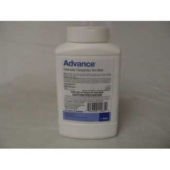 Advance Carpenter Ant Bait - 8 oz - 2 Lb