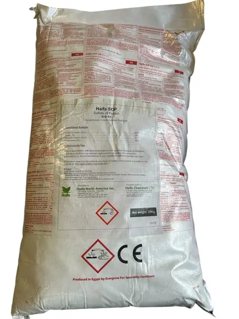 Photoroom_20250606_143738