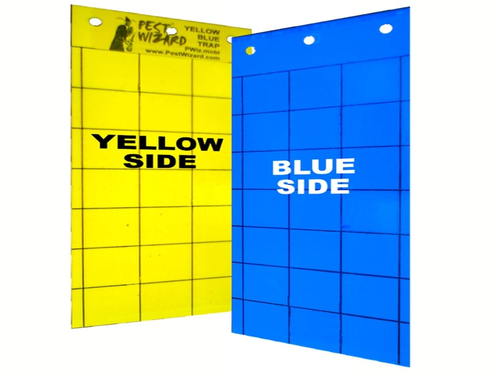 Pest Wizard Blue Yellow Insect Sticky Trap 25 Pack Combo Pest Wizard Blue Yellow Insect Sticky Trap 25 Pack Combo