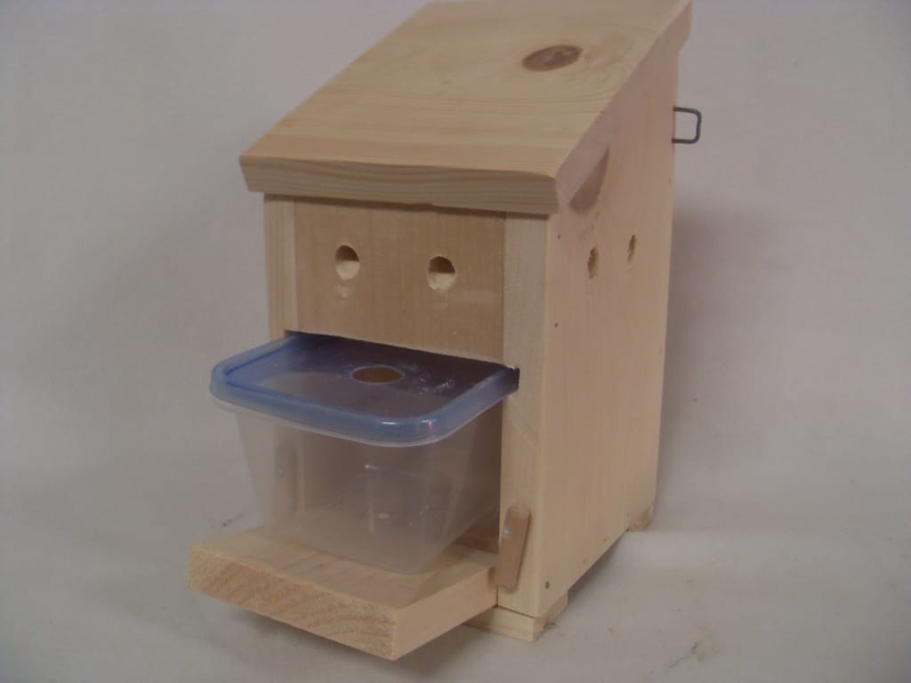 Carpenter Bee Live Trap Carpenter Bee Live Trap