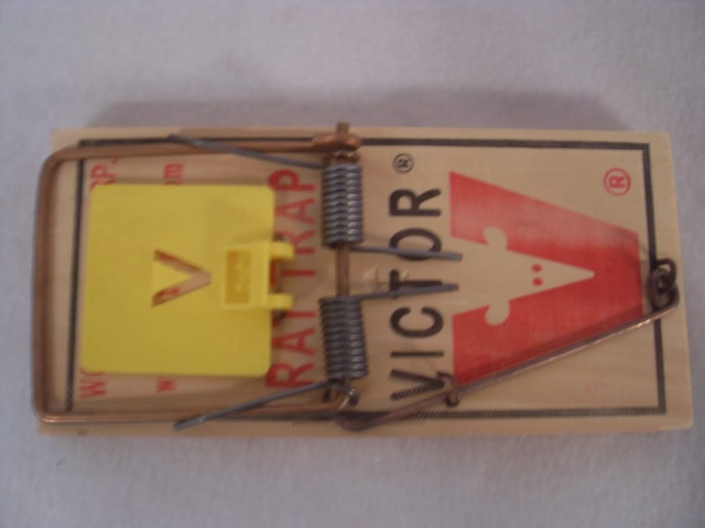 Victor Rat Traps M326 - 12 Snap Traps Victor Rat Traps M326 - 12 Snap Traps