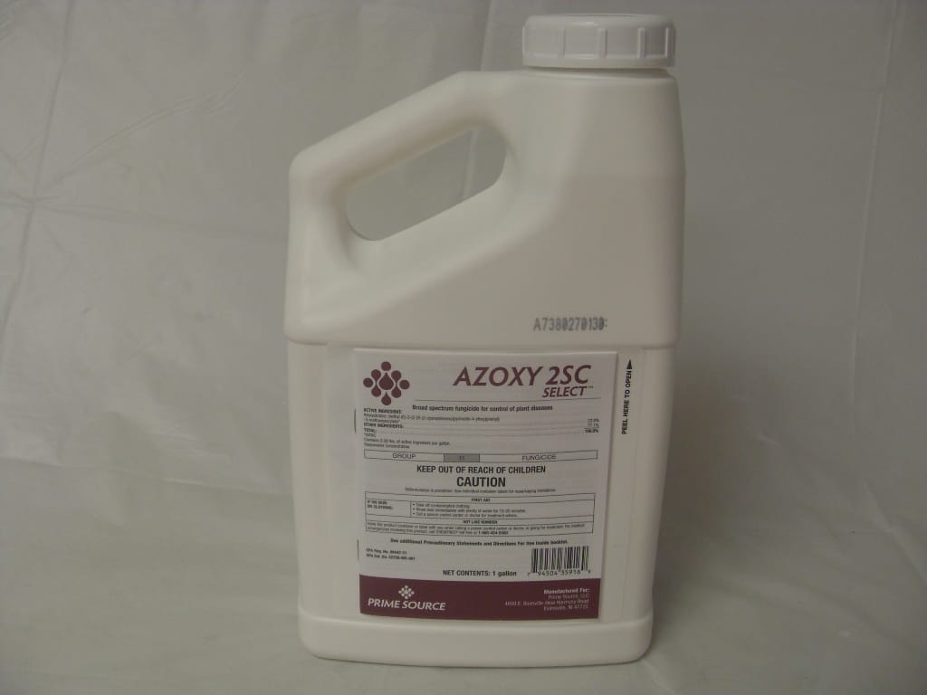 Strobe 2L Broad Spectrum Fungicide - Gallon Strobe 2L Broad Spectrum Fungicide - Gallon