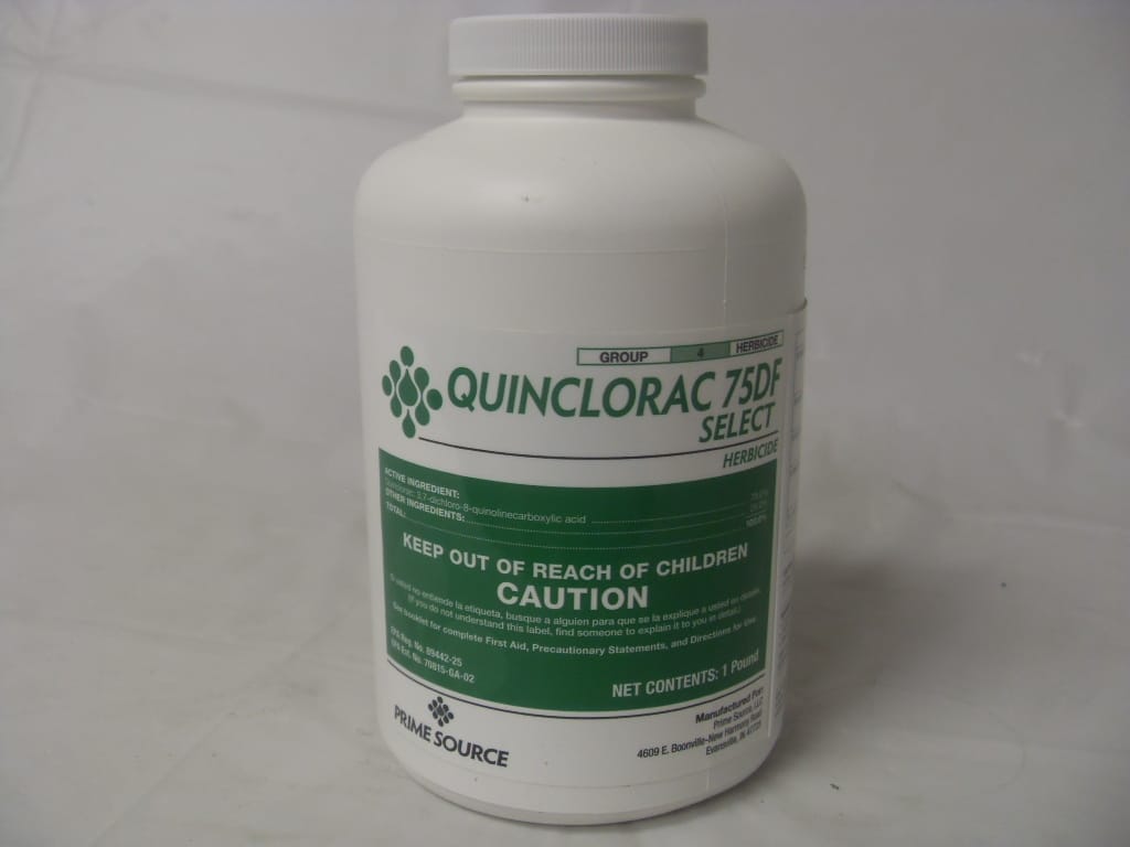 QuinStar Quinclorac Select Source 75 DF Crabgrass Killer - 1 Lb QuinStar Quinclorac Select Source 75 DF Crabgrass Killer - 1 Lb