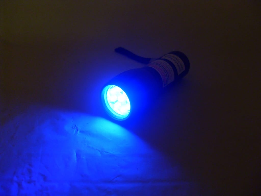 Blacklight Master 9 LED UV Black Light Pest Control Blacklight Master 9 LED UV Black Light Pest Control