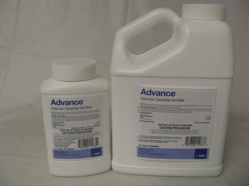 Advance Carpenter Ant Bait - 8 oz - 2 Lb